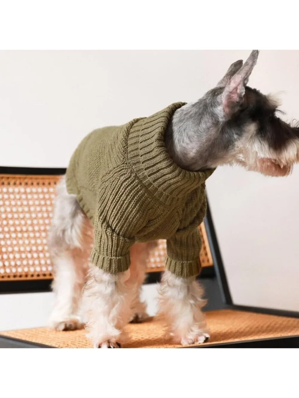 Cozy Thermal Knitted Dog Sweater - Winter Coat, Turtleneck Jacket, Sage Green